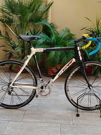 Bici da corsa FRW Carbonio HM XL Campagnolo 9v 