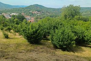 Terrreno di mq 3100