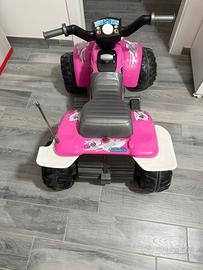 Quad elettrico