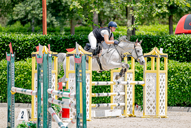 Ideale per 1° grado