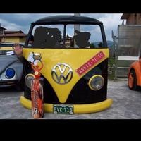 vw T1 