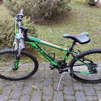 Mountain bike