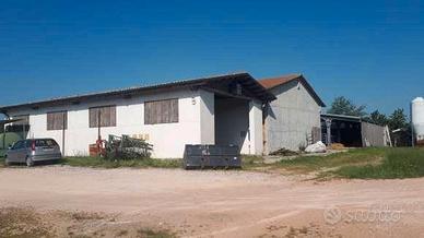 RGE 7/2021 - Tribunale di Urbino - Lotto 2