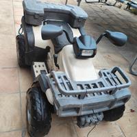 quad peg perego