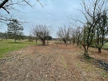 Terreno agricolo Rimini