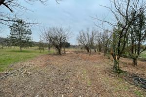 Terreno agricolo Rimini