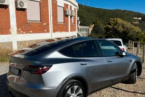 Tesla Modello Y - Long Range Dual Motor AWD