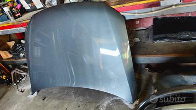 COFANO ANT PASSAT 2005-2010