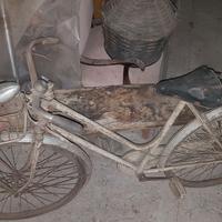 bicicletta BRUNETTI (FORLI')