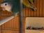 Immagine 3