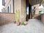 Immagine 24