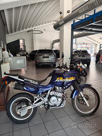 Honda Dominator NX 650  + bauletto Givi