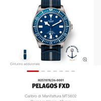 tudor pelagos.          ‘