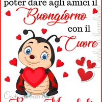 stufa a legna 