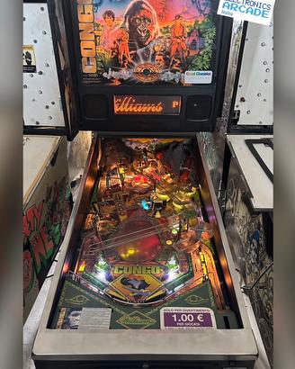 Flipper pinball Congo