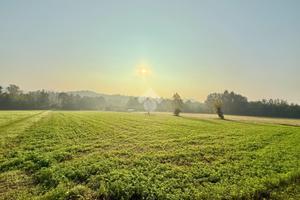 TER. AGRICOLO A SCANZOROSCIATE