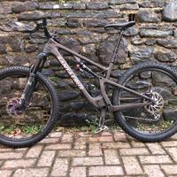 Santa Cruz  5010 C carbonio