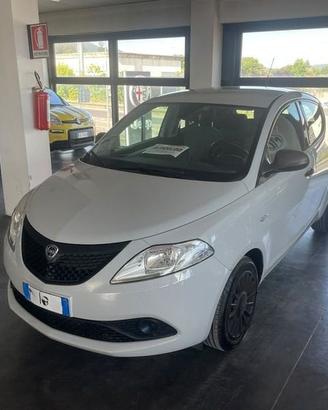Lancia Ypsilon 1.2 69cv GPL Ecochic Elefantino