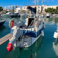 Barca a vela CECCO 8