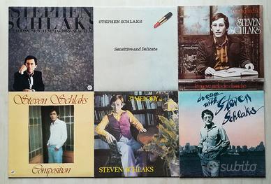 Steven Schlaks - Lotto di 6 dischi LP vinile