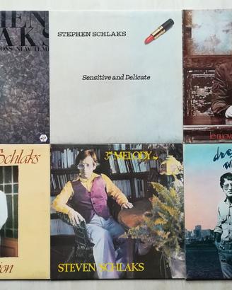 Steven Schlaks - Lotto di 6 dischi LP vinile