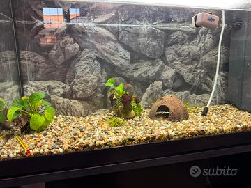 Acquario in vetro 90 litri