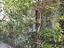 Immagine 22