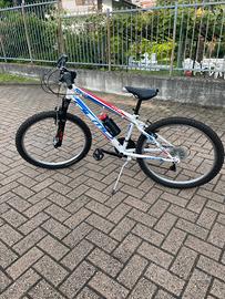 bici olmo 24 pollici