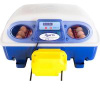 Incubatrice borotto real 24 automatica
