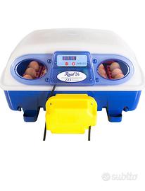 Incubatrice borotto real 24 automatica