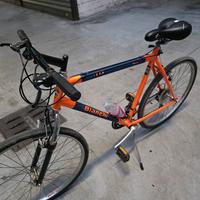 bicicletta Mountain bike 