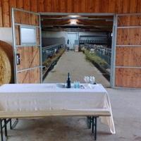 STALLA e SPAZI per le CAPRE