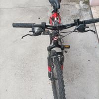Mountain bike bambino