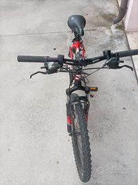 Mountain bike bambino