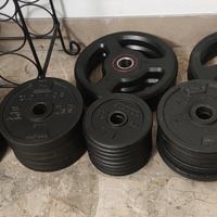 Pesi dischi ghisa bilanciere manubri palestra gym