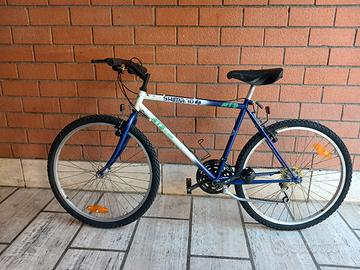 bici uomo 