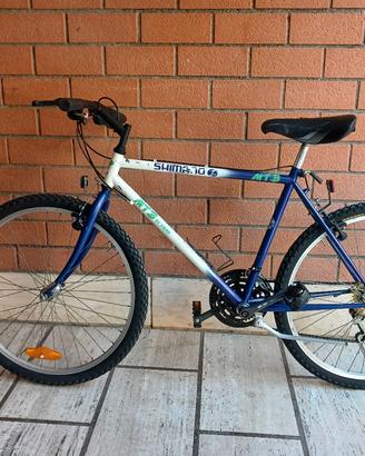 bici uomo 