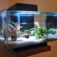 acquario per pesci 