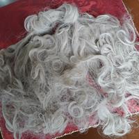 barba per carnevale 