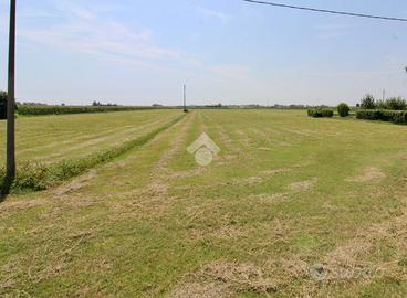 TER. AGRICOLO A CAORLE