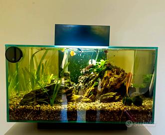 acquario