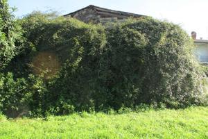 Rustico / Casale di 80 m² con 2 locali a Capannori