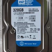 HARD DISK WESTERN DIGITAL 320GB PATA WD3200AAJB