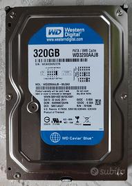 HARD DISK WESTERN DIGITAL 320GB PATA WD3200AAJB