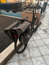 Bicicletta elettrica