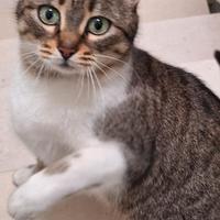 Mimí aspetta proprio te