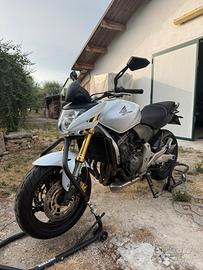 Honda hornet 600