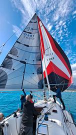 Randa in laminato per 34/36 piedi