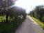 Immagine 8