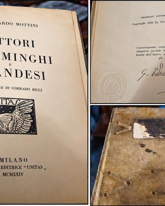 pittori fiamminghi e olandesi